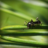 /album/markmefare/photolia-a05-jpg/