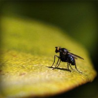 /album/markmefare/photolia-a07-jpg/